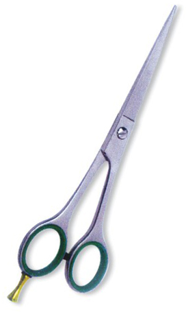 Text